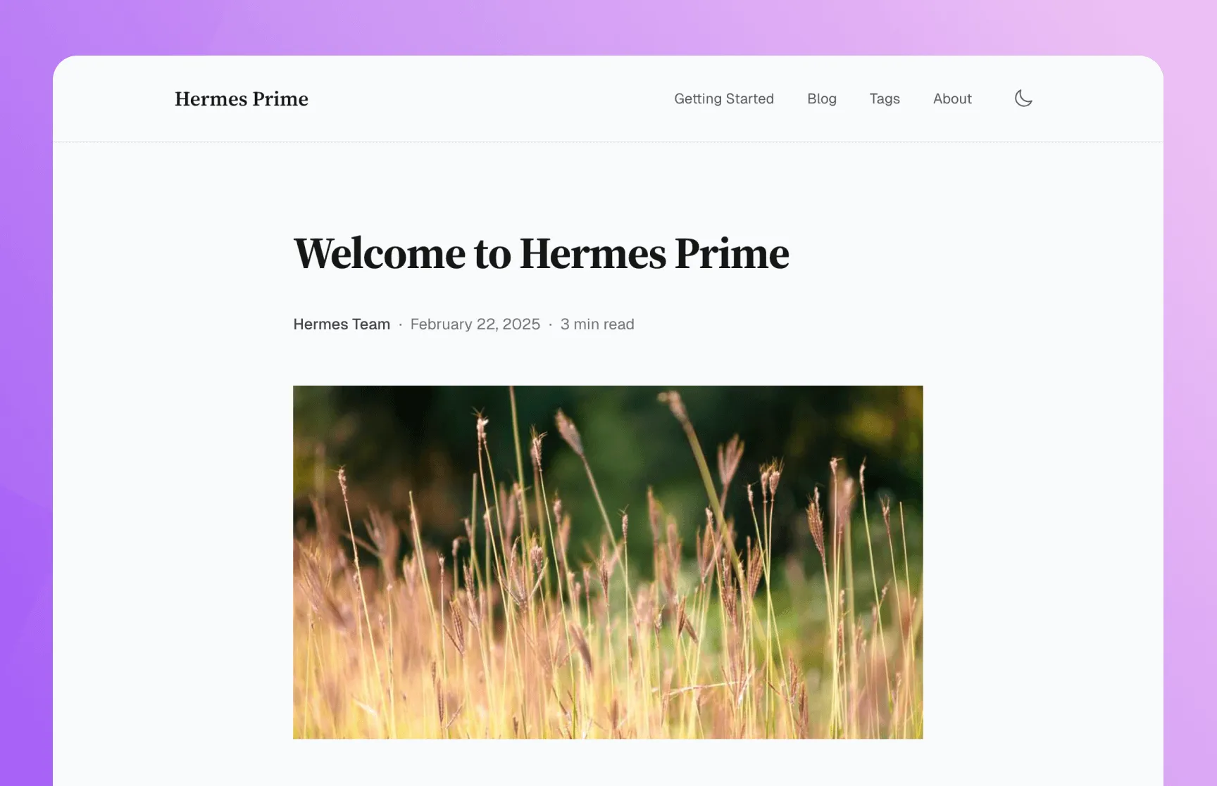 Hermes Prime preview 2
